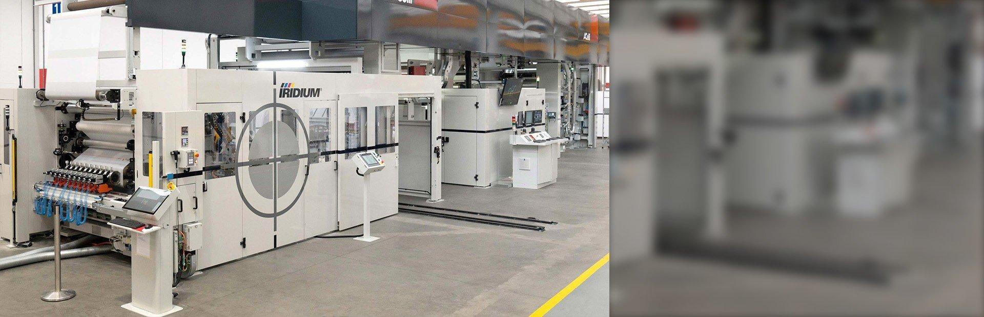 Pomarańczowa mszyna